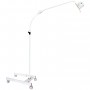 Onderzoekslamp LED Bellon op statief