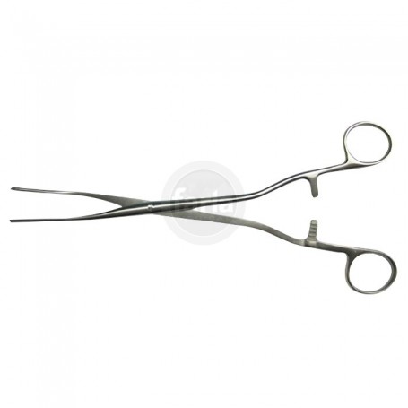 Tampontang Sims-Maier