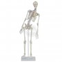 Skelet miniatuur "Fred"