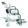 Weegschaal Seca 959 - rolstoelweegschaal